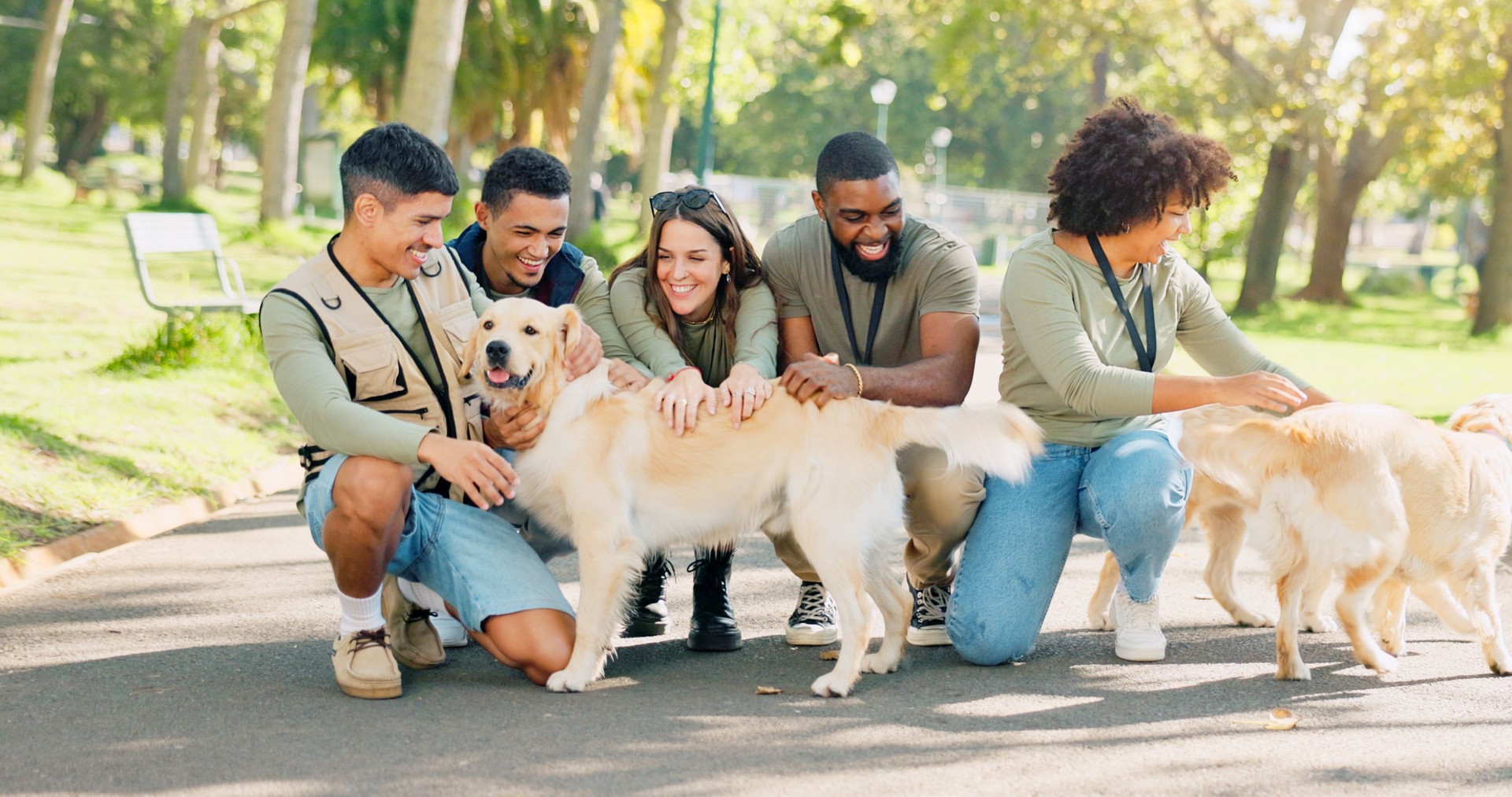 People, volunteer and happy with dogs at park for walk, care and support for community service. Diversity, group and smile for animal welfare or charity with fun or help as shelter worker
